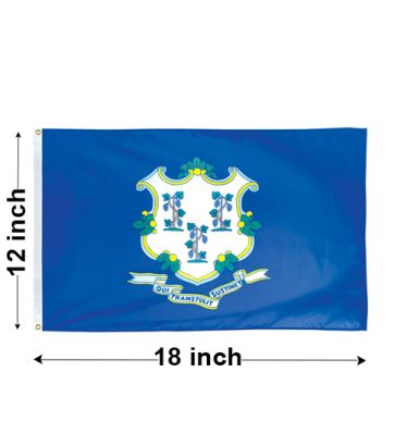 12"x18" Connecticut Nylon Outdoor Flag